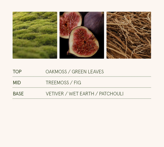 La Jolie Muse - Kyoto Vine & Moss 11oz Candle