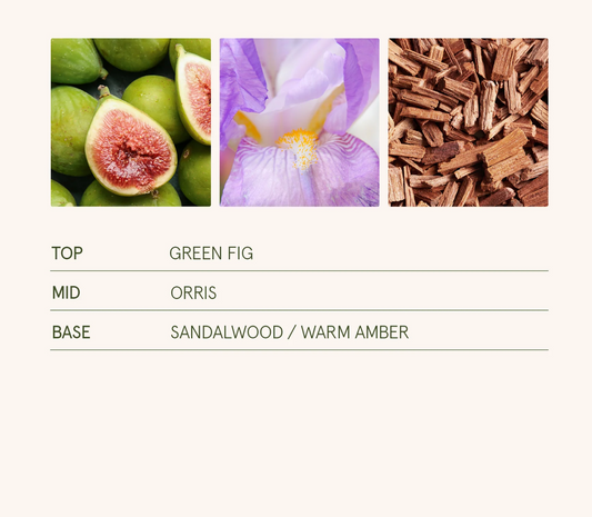 La Jolie Muse - Santal Himalayen 11oz Candle