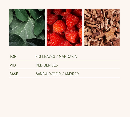 La Jolie Muse - Sylvan Figue 11oz Candle