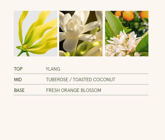 La Jolie Muse - Champs de Tuberose 11oz Candle