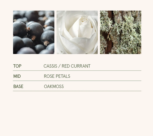 La Jolie Muse - Hey Baies 11oz Candle