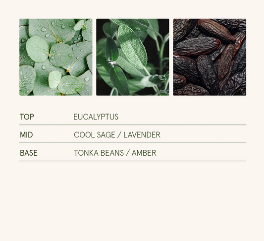 La Jolie Muse - Eucalyptus & Alpine Sage 11oz Candle