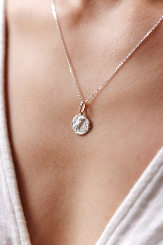 Robin Haley - Wisdom Owl