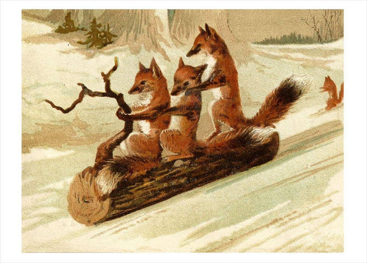 Foxes Sledding on Log C.1900 Holiday Cards