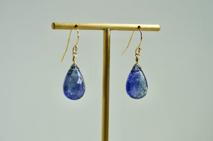 Rock Stella - Tanzanite small drops on solid 14K gold shepherd hook wires
