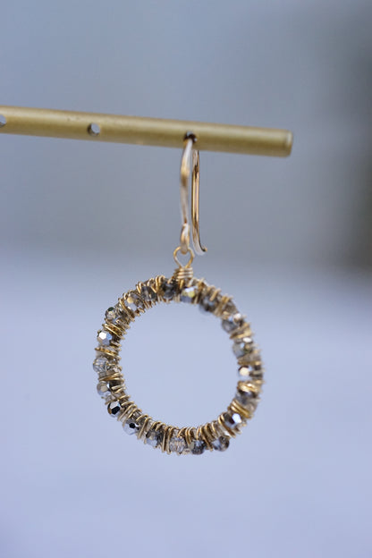 Dana Kellin - Plat Crystal and Silver Circle Earring with 14k fill wire
