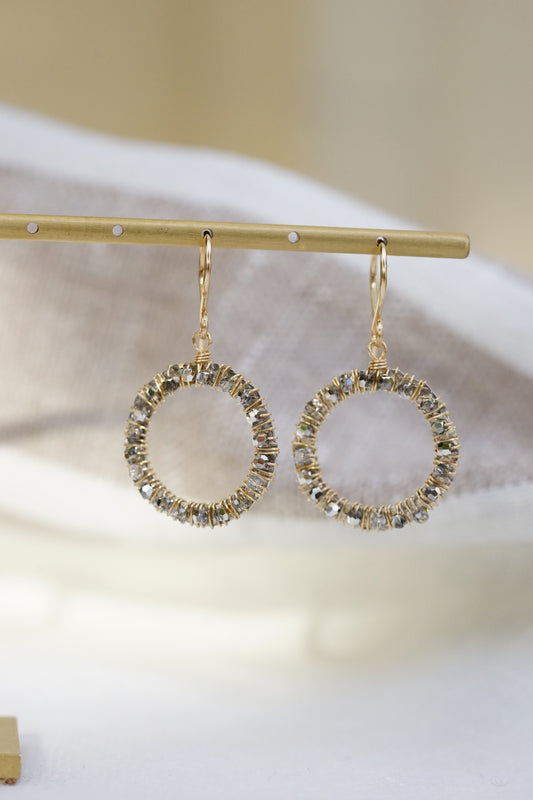 Dana Kellin - Plat Crystal and Silver Circle Earring with 14k fill wire