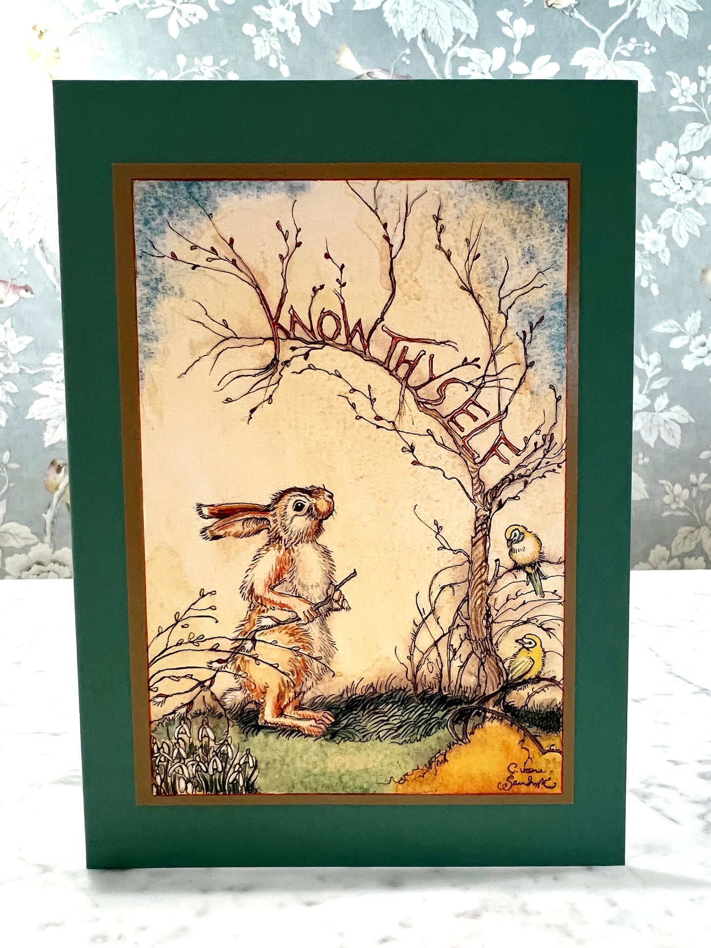 CVS - Fine Art Cards