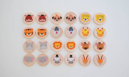 Safari Matching Game