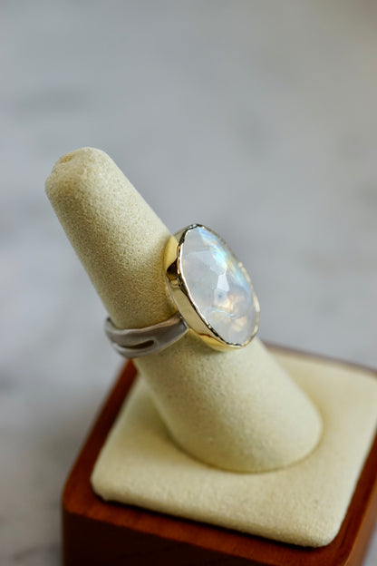 Moonstone Cocktail 14k bezel ring w/ seakelp sterling band